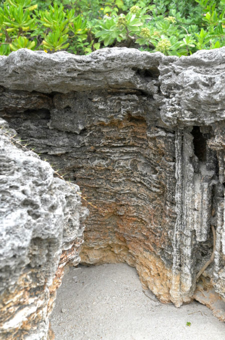 石灰岩の地層