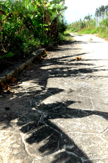 石畳の道路